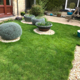 Techniques de taille pour maintenir un jardin esthétique et en bonne santé Saumur